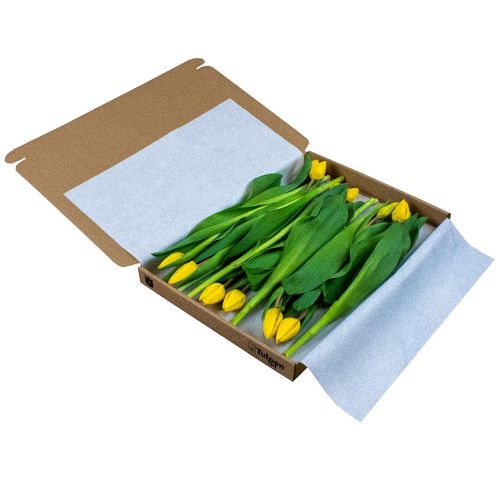 Tulips in giftbox - Image 5